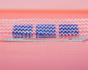 Photo of medical grade mesh