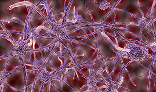 image rendering of nerve cells