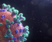 3D Realistic medical illustration of the corona virus