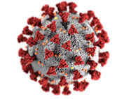 A medical illustration of a corona virus