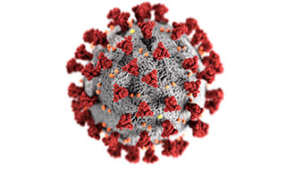 A medical illustration of a corona virus